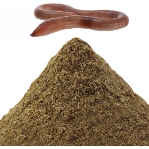 10g earthworm Flavor fishing tackle Additive Carp Fishing Feeder Bait Material accessories product for fishing suppliers 1bag