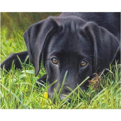 PDMDOG Black Labrador 5D Round Square Embroidery Diy Full Diamond Painting Sets Mosaic Puppy Dog Pictures Rhinestone Art
