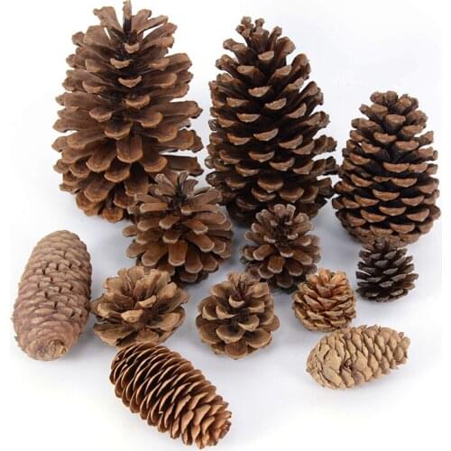 2-18cm Natural Pine Nuts Dried Plant Pineapple Cones Wedding Christmas Decoration For Home DIY Wreath Handmade Accessories Craft
