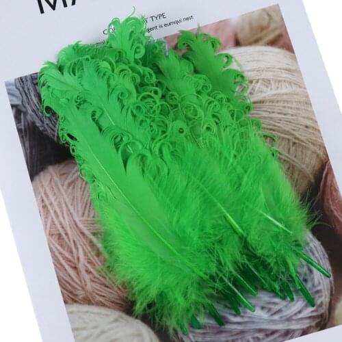 15-20CM Curvy Goose Feathers for Craft-Feather Jewelry Accessories Party Decoration Plume wholesale 10Pcs/bag