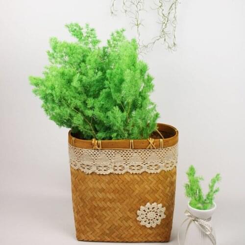 1 Bouquet Natural Plantas Preserved Flores Peng Lai Song Dried Flower Photo Props DIY Home Decor Accessories Wedding Decorations