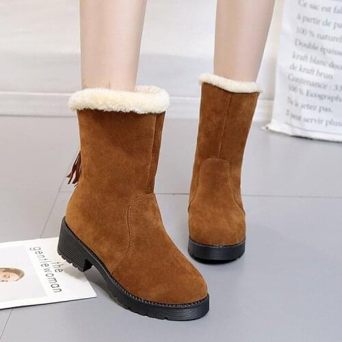 Snow Boots Women New Winter Thick Fur Warm Tassels Short Ankle Boots Female Low Heel Boots plus Velvet Warm Shoes