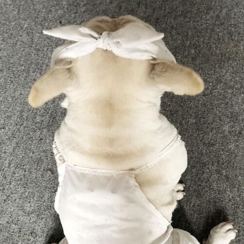 ASPET Overalls For Dogs