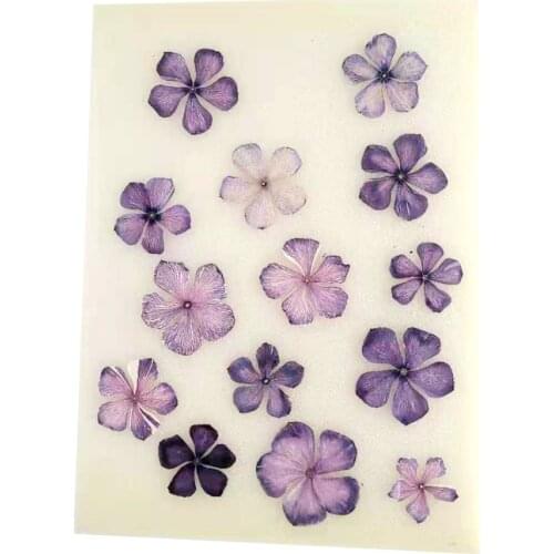 Pressed Real Dried Flower Dry Plants For Candle Epoxy Resin Pendant Necklace Jewelry Making Craft DIY Scrapbooking Accessory