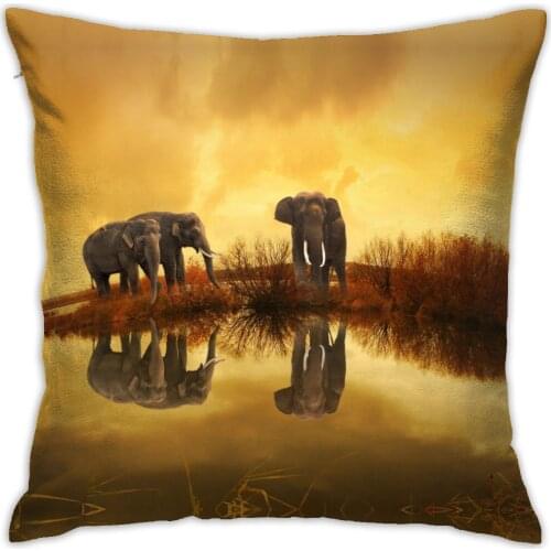 Natural Style Series Pillowcase Decoration Elephant Car Pillowcase Elephant Figurine Home Sofa Cushion Cover 45x45cm