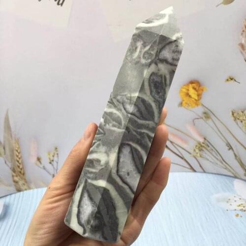 Beautiful turtle stone keel stone, fossil conch crystal column specimen