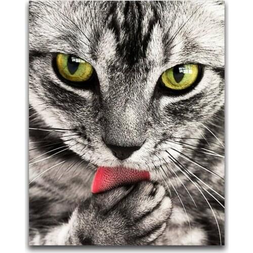 H2222 5d diamond,embroidery rhinestones,diamond embroider Close-up cat