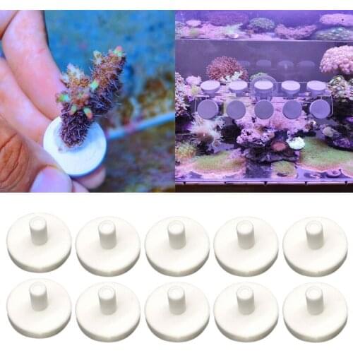 10pcs Coral Frag Plugs Ceramic Aquarium Coral Rack Support Bracket Holder Base Coral Frag Stand Fish Tank Supplies