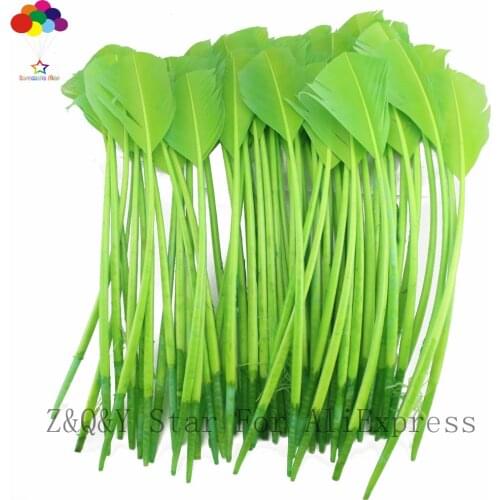 Natural 25-30CM Turkey Nest Lin Wotou Feather Dye Fruit Green DIY Craft Jewelry Decoration Accessories
