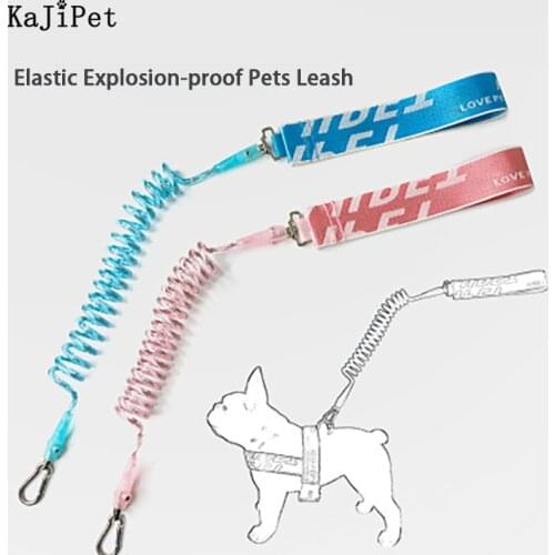 Elastic Reflective Pet Dog Leash Rope Explosion Proof Leash For Dog Running Soft Steel Wire Pet Dog Leashes For Small Dog Medium