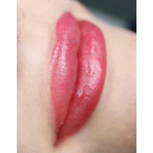 Goochie Organic 6D Nube Lip Eyebrows Eyeliner PMU Tattoo Pigments