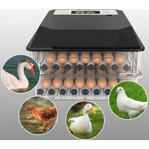 Incubator Small Household Incubator Automatic Intelligent Mini Incubator Chicken Duck Goose Bird Incubator