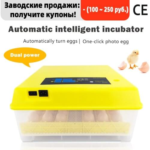 48,96 egg incubator fully automatic Farm Temperature Display Poultry hatching machiner Chicken quail brooder