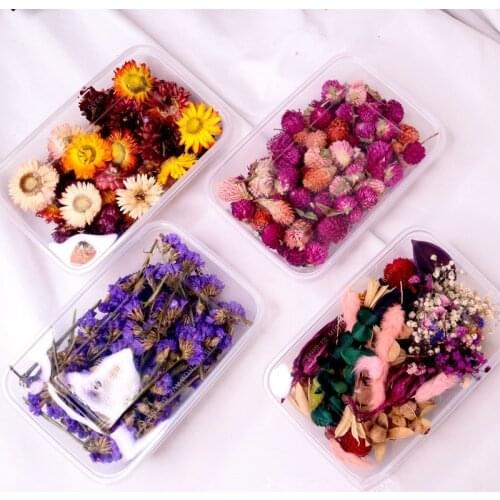 1 Box Real Dried Flower Dry Plants For Aromatherapy Candle Epoxy Resin Pendant Necklace Jewelry Making Craft DIY Accessories