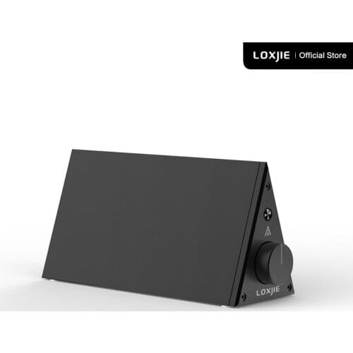 LOXJIE A10 Desktop Stereo Power Amplifier Digital Class-D High-Power Audiophile Level Amp Chip TPA3116