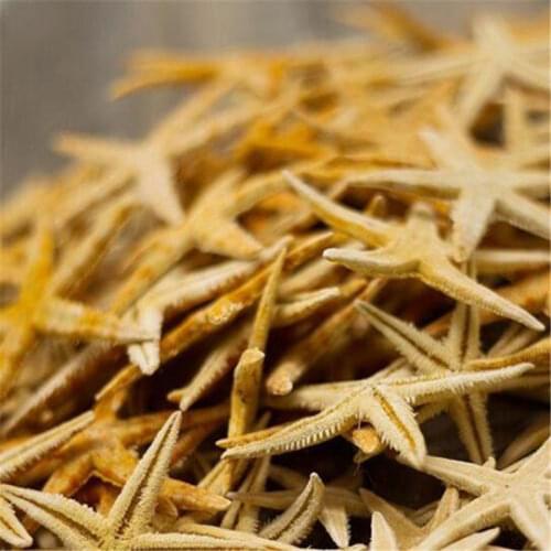 50 pcs/pack 1 pack 2-3cm starfish shell beach natural starfish wedding decoration crafts, can be used as home furnishings