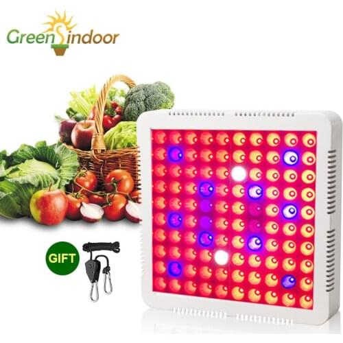 1000W Grow Tent LED Grow Light Full Spectrum Phyto Lamp For Plants Lamp For Flowers Timer Fitolampy Indoor Led Adjustable Rope
