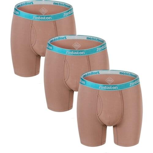 Mens Panties Lingerie Underwear Boxer Shorts Boxers For Male Bamboo Comfortable Brand Pouch Solid 3 PCS/Lot Mens Underwear