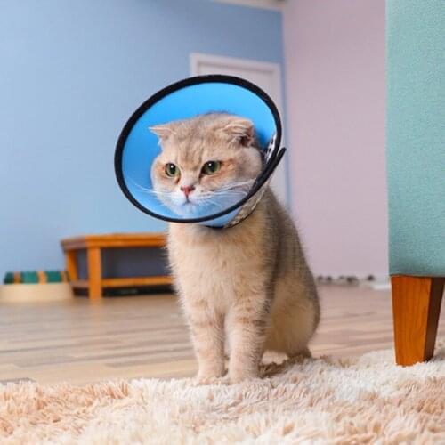 New Arrivals Pet Cats And Dogs Anti-Bite Collar Protective Feeding Medicine Cover Postoperative Protective Collar