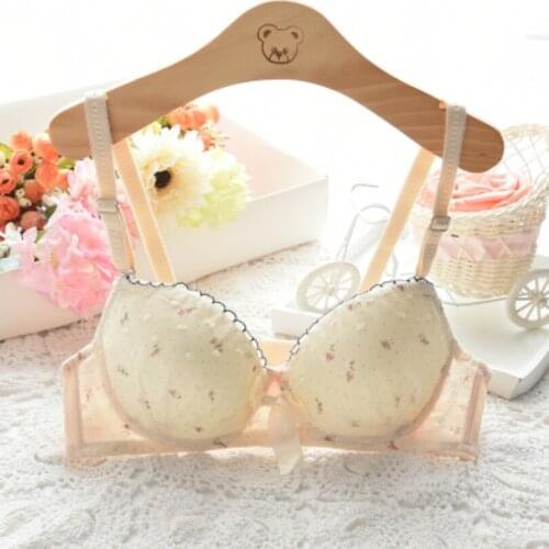 Fashion Women Push Up Bra One-piece Seamless Women Sexy Double Push Up Bras Fpr Girls Underwear Women Bra Big Size Gather Bras