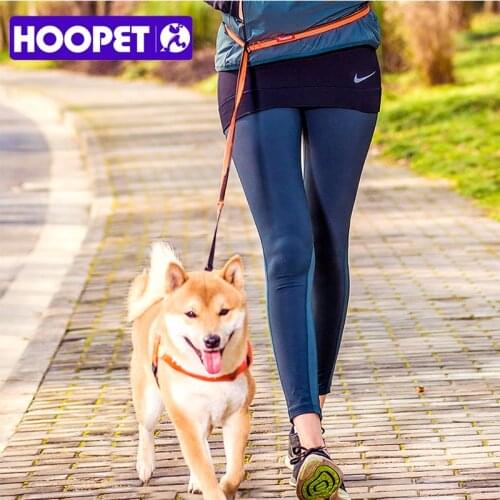 HOOPET Fluorescence Leash Dog Traction Belt Reflective Safety Pet Outside Rope