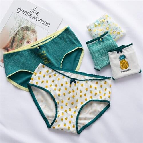 4Pcs/lot Panties Women Underwear Briefs Breathable Underpants Girls Soft Panty waist size girls briefs T84
