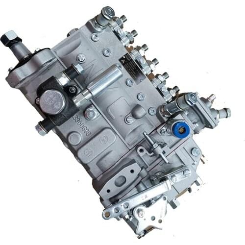 Weichai Deutz TD226B Engine Spare Parts Fuel Injection Pump 13053063 1001620056