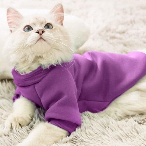 Cat Clothes Pet Dog Clothes cat outfit punk Solid Color Cute Shape Two-legged Cat Sweater Hoodie for Puppy Clothes