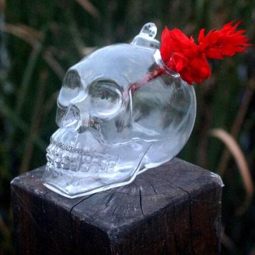 SOLEDI Glass Vases Hanging Skull Shape Garden Flower Vase Outdoor Other Yard Crystal Quality Pot