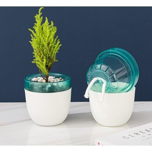Self Watering Planter Plastic Flower Pots Indoor Desktop Automatic Watering Bonsai Succulent Pot for Small House Plants