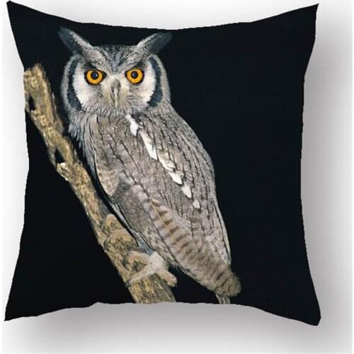 Person Portraits Character expression printed cushion covers