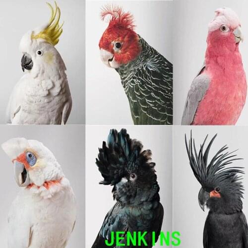 5D Diy Diamond Embroidered Parrot Diamond Painting Series Square/Round Diamond Mosaic Animal Embroidery Home Decor animal jenkin