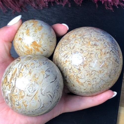 Natural dinosaur bone fossil sphere crystal ball natural madagascar stone healing crystal