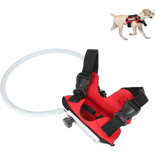 Blind Pet Anti Collision Ring Animal Safe Guide Dog Pet Outdoor Walking Safe Protective Harness Vest Ring for Cat Dog