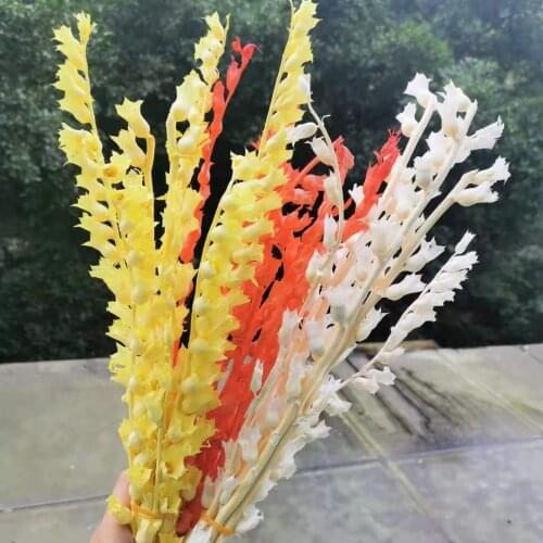 25g/30-40cm,Natural Dried flowers Bouquet,Eternelle Display Trumpet Flower Head for Wedding Home Party Decoration accessories