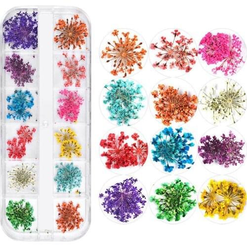 3D Dry Flowers Nail Decoration Sunflower Daisy Floral Leaf Mixed Style Nail Art Sticker Creativity Nail Art Decals Nail Art Tool