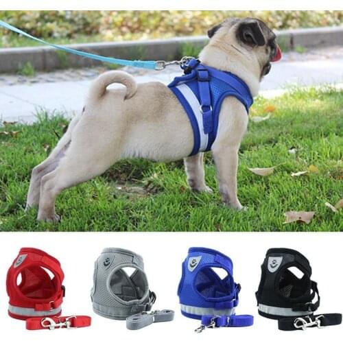 4 Colors Pet Cat Harness With Leash British Style Jacket Cat Harness Walking Training Hand Grip Straps Leash Traction Belt