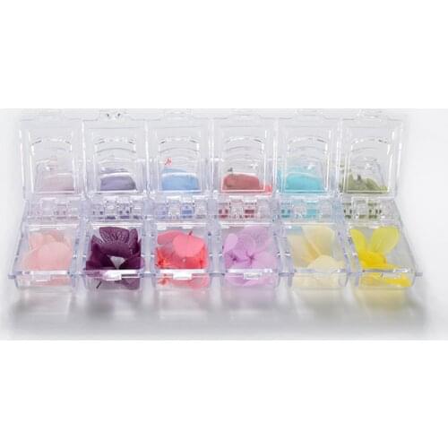 12 Colors 3D Tips Real Natural Petal Dry Dried Flower Sticker Design UV Gel Nail Art Polish Decoration Decals DIY Manicure Tools