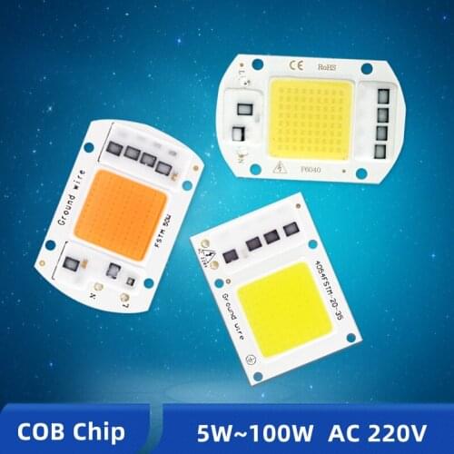 DIY COB LED Chip 100W 50W 30W 20W AC 220V Integrated Smart IC Driver High Brightness For Floodlight Spotlight Warm/Cold White