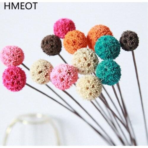 5pcs Natural Dried Flowers Real Passepartout Maple Fruit Dried Plants DIY Wedding Flower Arrangement Home Decoration Photo Props