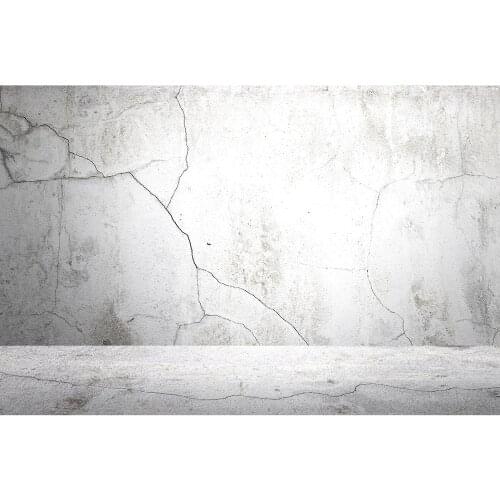 Cement Wall Crack Photographic Backdrop Vinyl Cloth Backgrounds for Baby Children Portrait Pets Toy Photophone Photo Studio