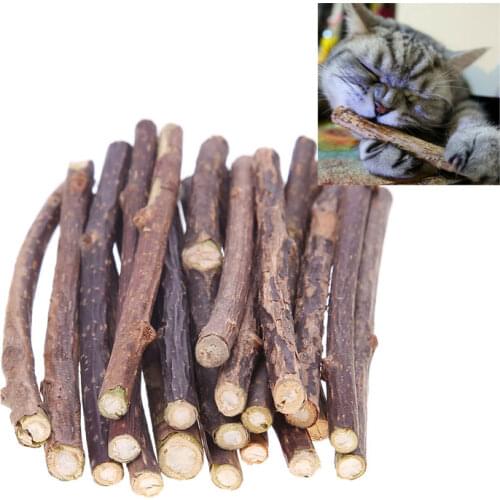 10/15/20pcs Cat Teeth Sticks Fruit Matatabi Cat Snacks Sticks Catnip Pet Cat Molar Toothpaste Rod Kitten Cleaning Teeth Tool