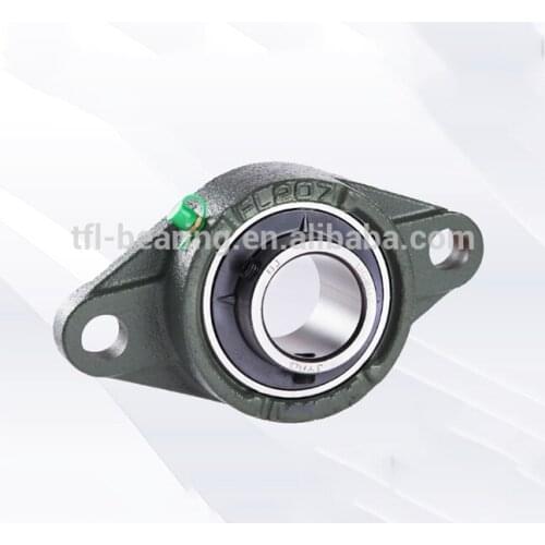 Two-bolt Flange bearing Units Housing UCFL Series Pillow Block Bearings UCFL206