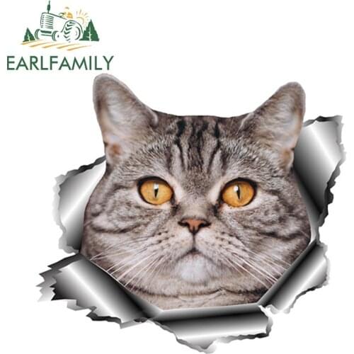 EARLFAMILY 13cm x 11.8cm 3D British Cat Car Sticker Torn Metal Pet Car Decal Reflective Stickers Waterproof Bumper Accessories