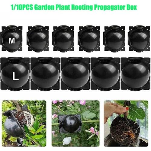 Горшки для рассады VAKIND China At AliExpress