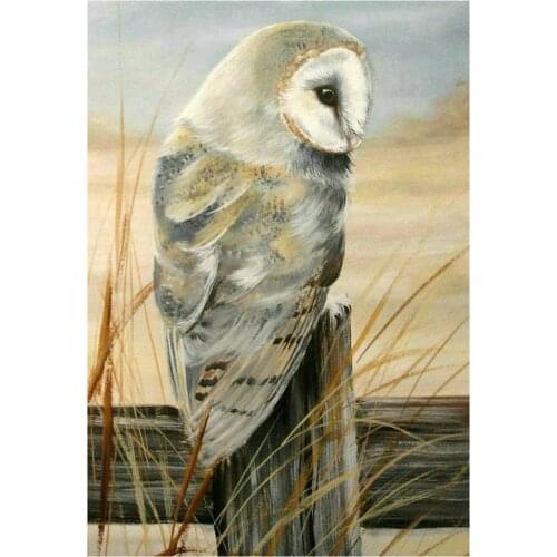 New full square round 5d diy diamond painting owl 3d diamond mosaic animal embroidery rhinestone crafts watercolor sticker