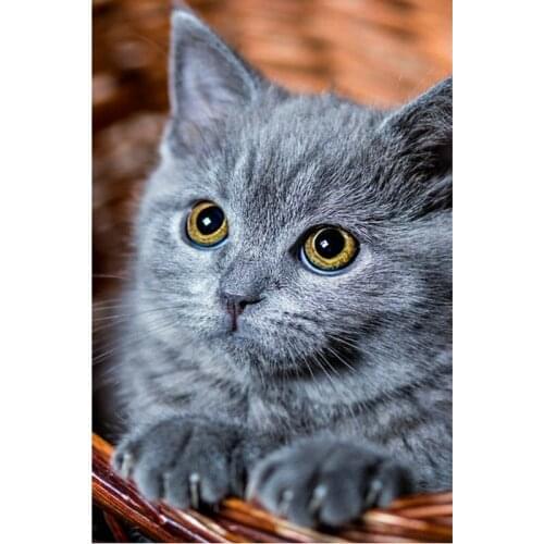 Diy 5d Diamond Painting cross stitch kit Diamond Rhinestone Pasted Painting square Diamond Embroidery pattern Animal cat