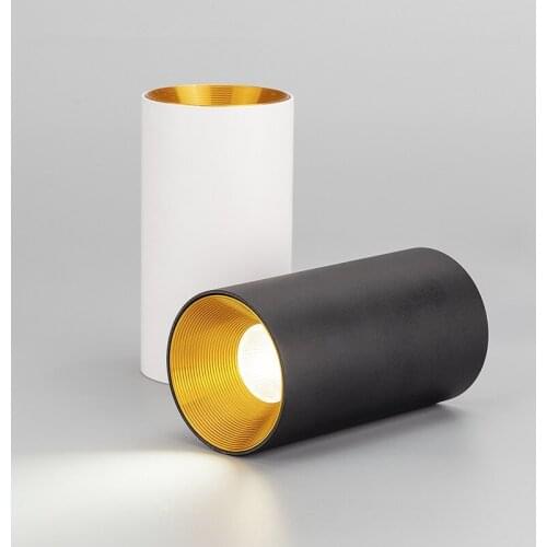 Surface Mounted LED Downlight 9W 12W 15W Dimmable Ceiling Lamps AC110V 220V LED Down Light Ceiling Spot lighting Living Lamp