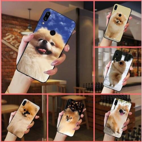 Pomeranian dogs cute dog animal high quality Phone Case cover For Xiaomi Redmi note 7 8 9 t k30 max3 9 s 10 pro lite