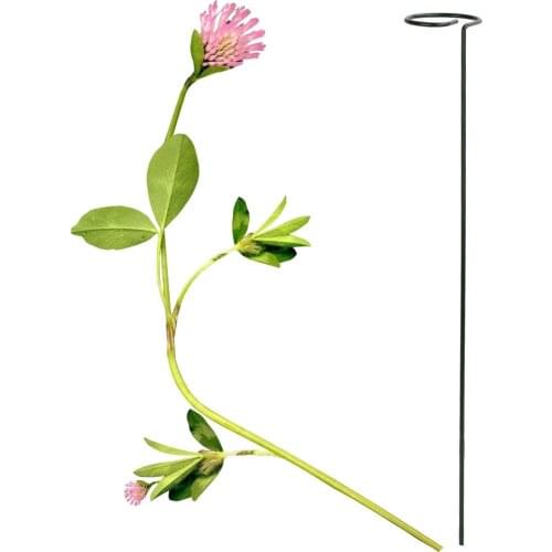 Garden Support Stake Ring Metal Garden Plant Supports Single Stem Shrub Holder For Plants Rose Flowers Vegetables Vine